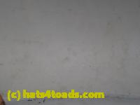 /home//u458753944/public_html/sourcegallery//////////////////////Roxborough Toad Detour/2013-2019/2017/P4110678.JPG